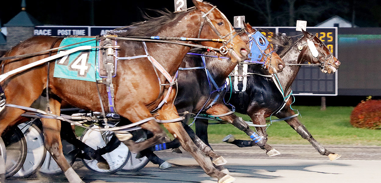 Blue Collar Man & Dan Daley