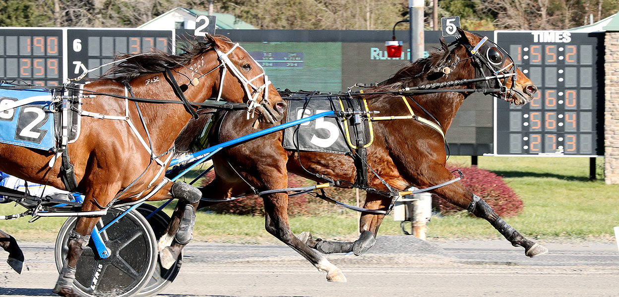 La Bella Vita N & Shawn Gray