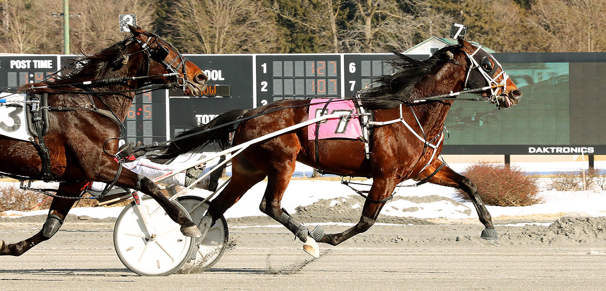 Big Box Hanover & Larry Stalbaum