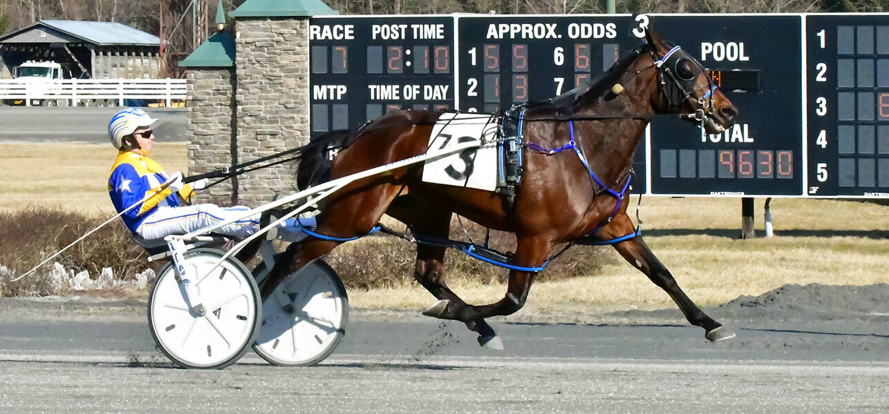 Ima Happy Fella GB & Jay Randall