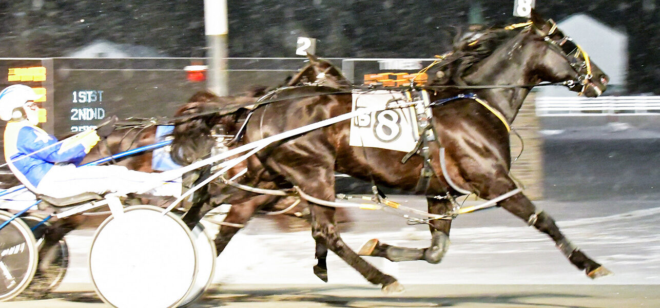 Moonshine Kisses & Jay Randall