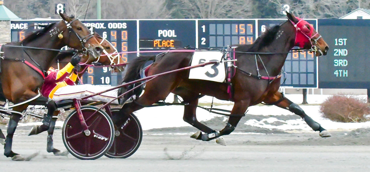 Newsy N & Ron Cushing