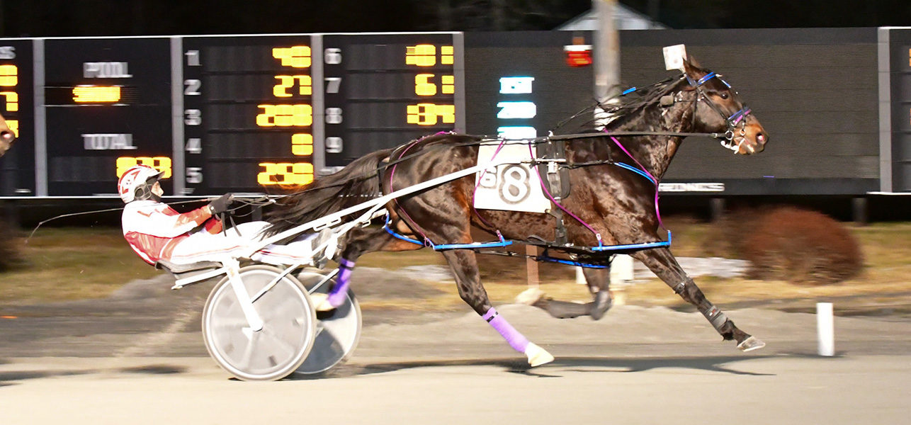 Optical Illusion N & Chris Long