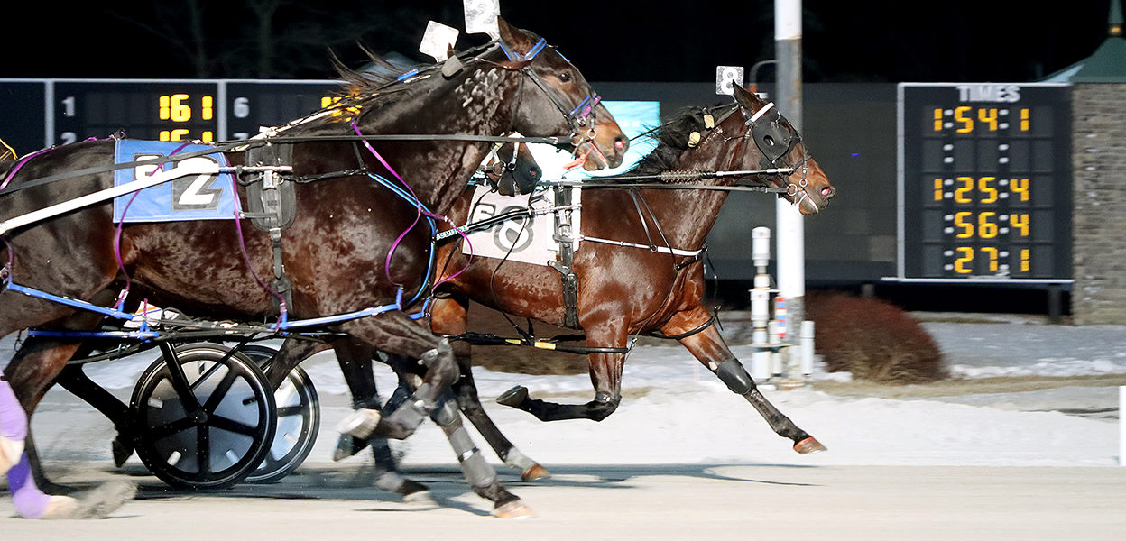 Take A Gamble & Leon Bailey