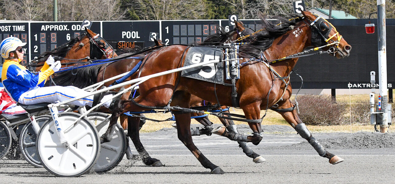 Alittlesidehustl N Rallies To Win Distaff Feature