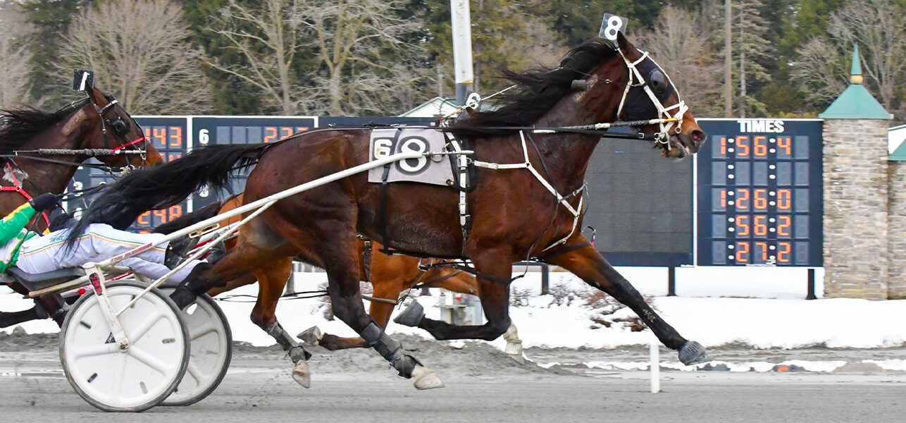 Big Box Hanover & Larry Stalbaum