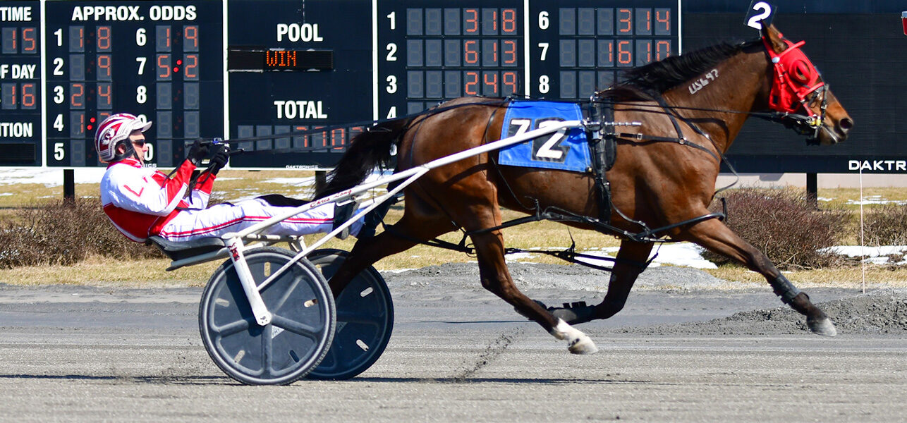 Distaff Step Up To The Plate Claiming Series