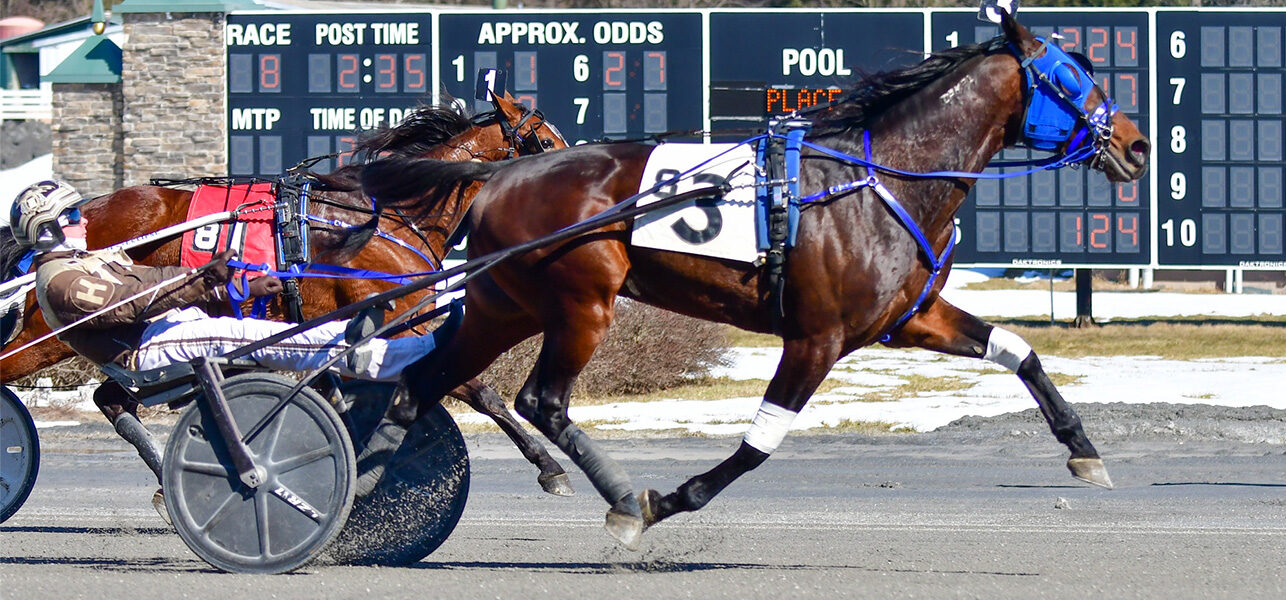 Step Up To The Plate Claiming Series