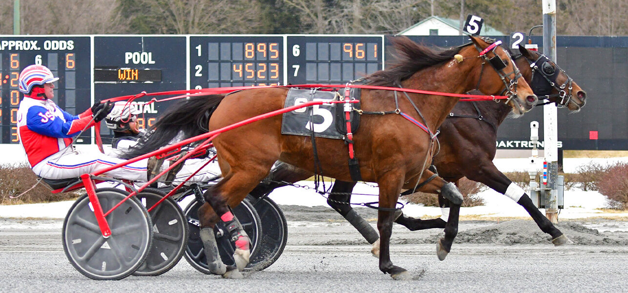 Step Up To The Plate Claiming Series