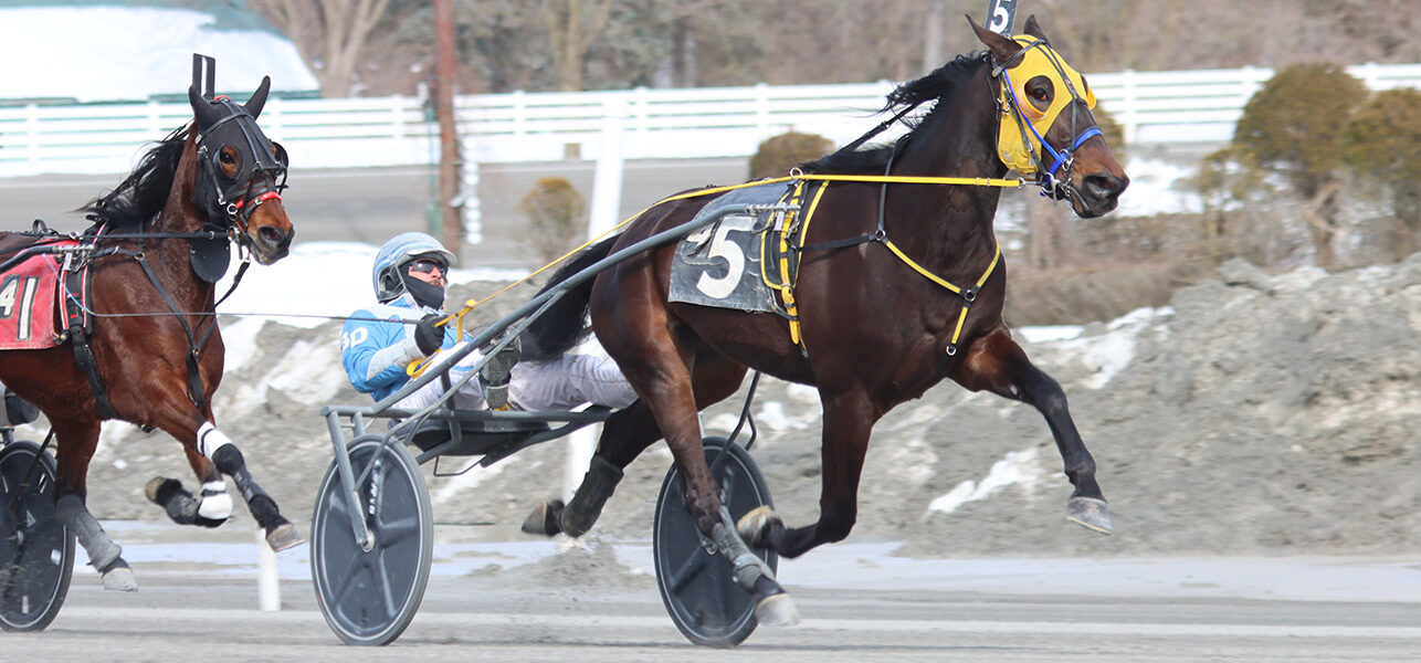 Trainer Gary Levine & A Successful Monday