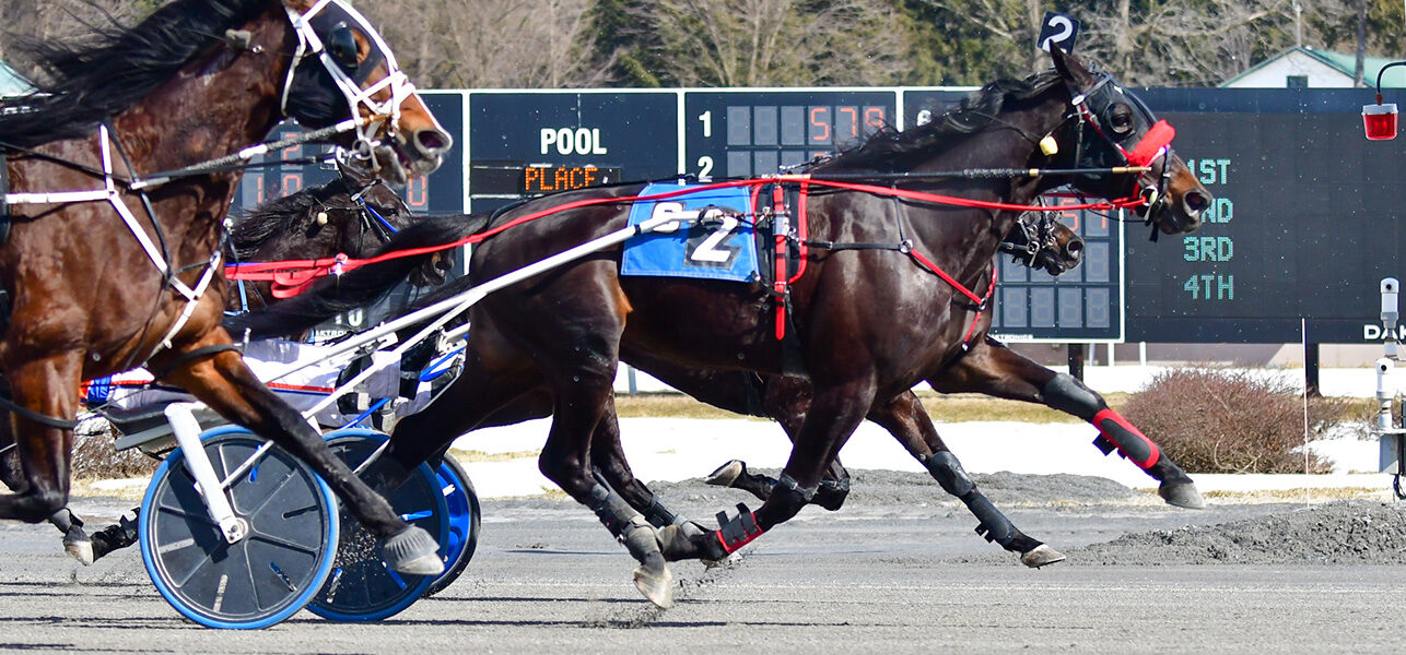 Summit City Sonny Wins Five In A Row