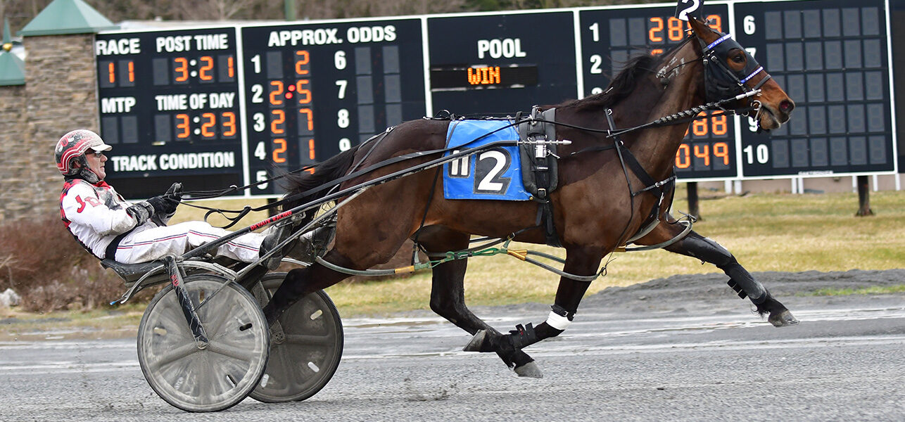 American Tour N & Jim Devaux