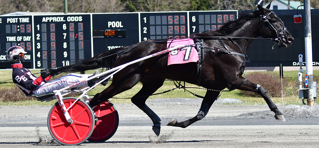 Angel Nation & Brett Beckwith Saratoga