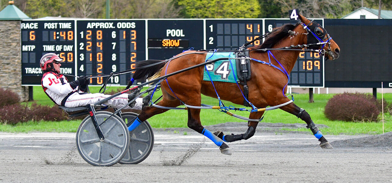 Maczaffair N Wires In Tuesday Feature