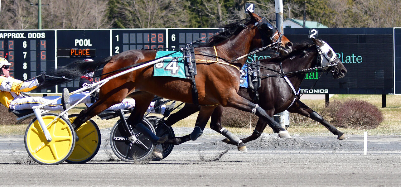 Mr Cool Seaeyre N Wins Claiming Series Trot Final