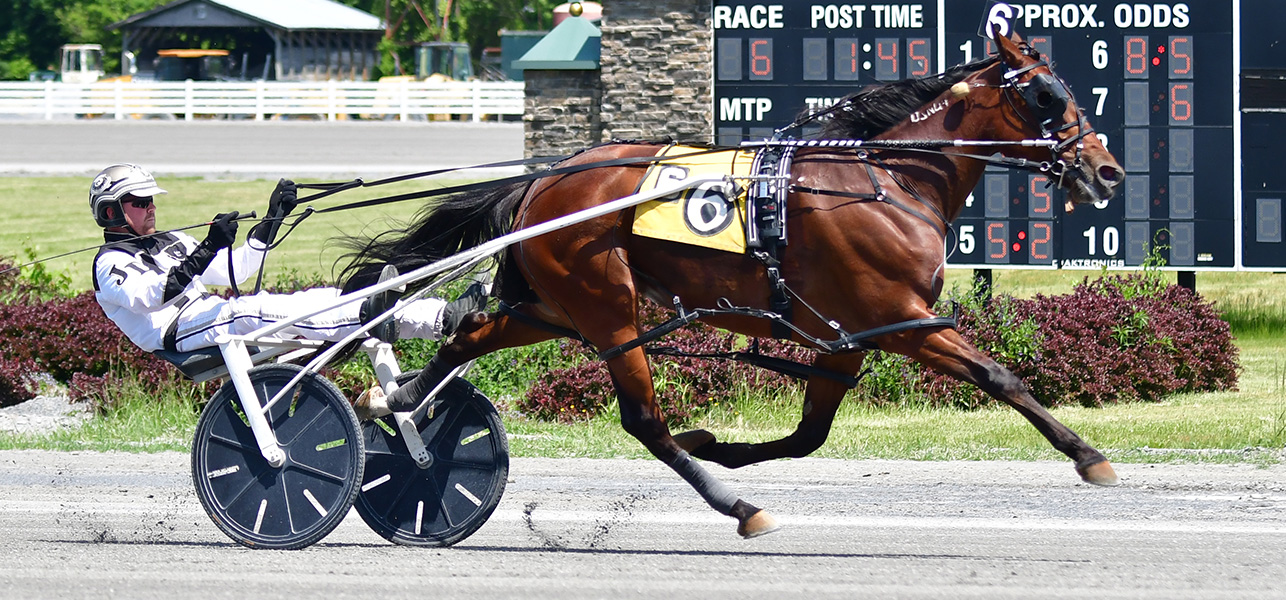 Always Watching Wins Top Distaff