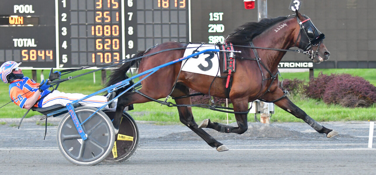 Nuttin But Finesse Shines In Open Pace