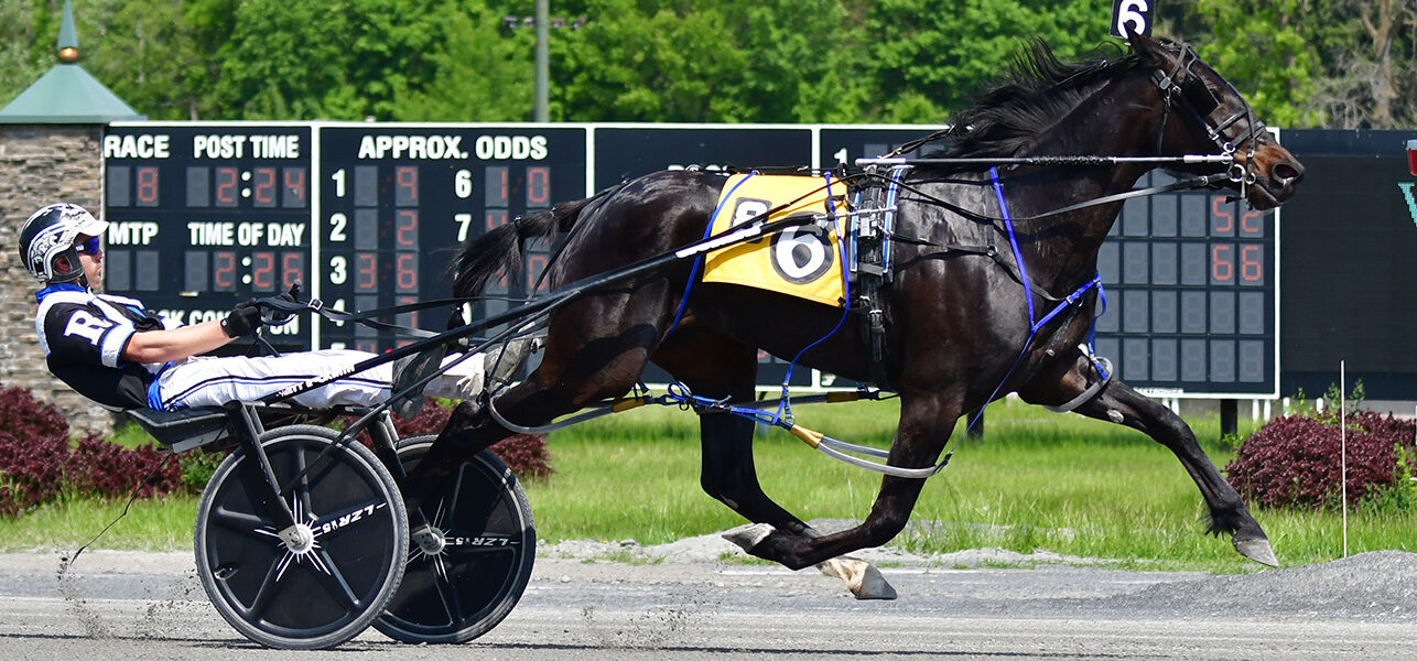 Vibrance Wins O’Brien Memorial Final