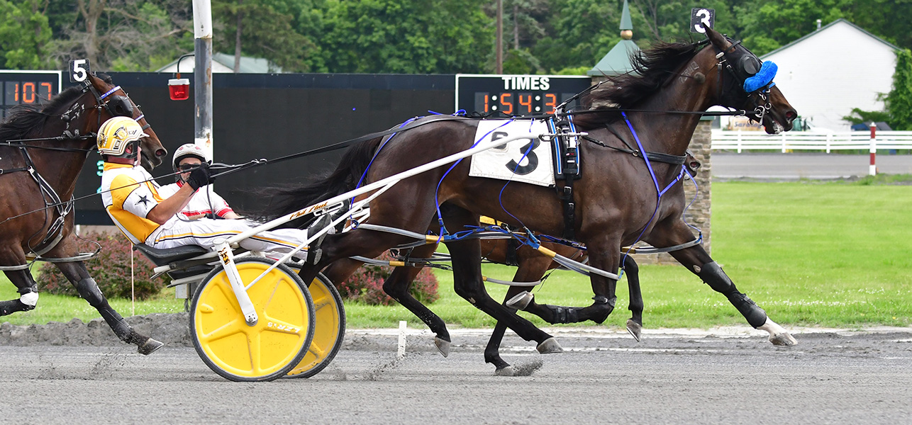 Northern Luxury Shines For Sardella