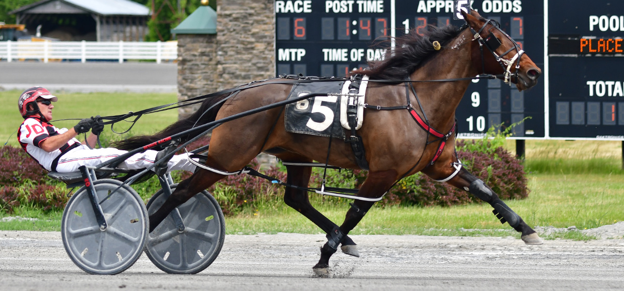 Our Lady Lara A Undefeated At Saratoga