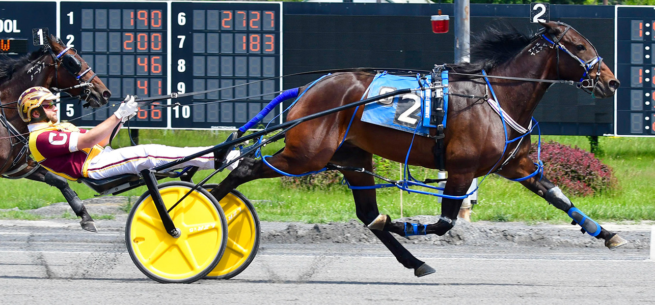 Sheikh Yabooty N Takes First Open