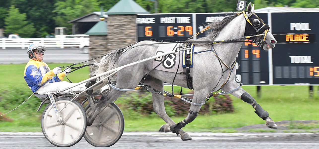 St Lads Sterling Takes First Open