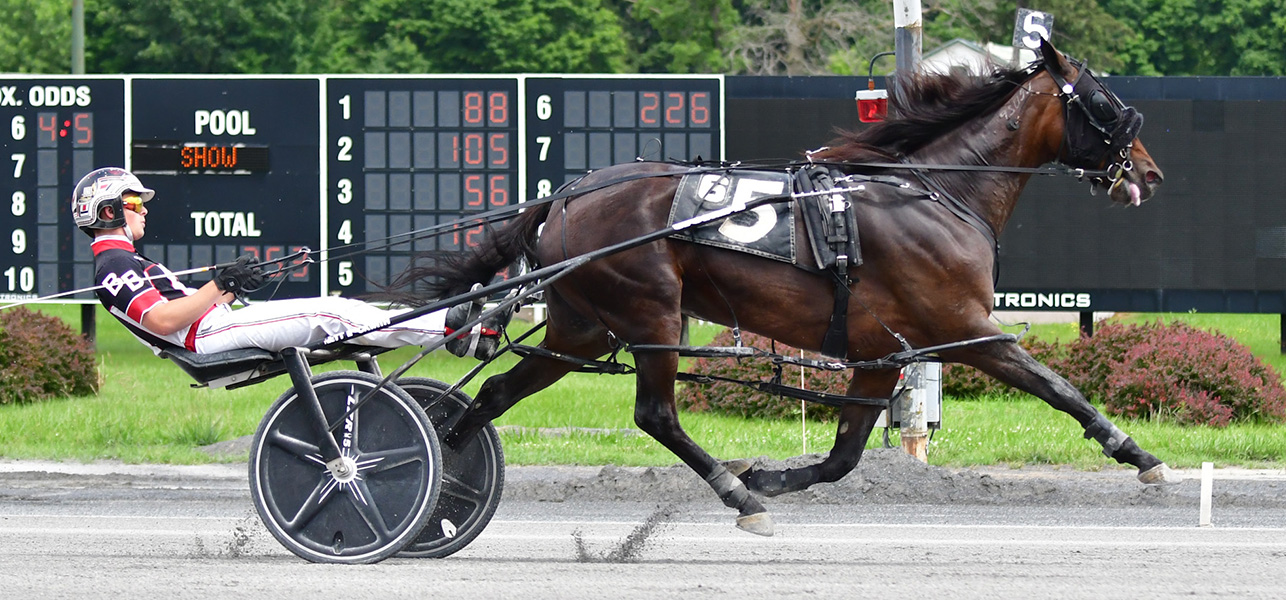 Milieu Hanover Wins Saratoga Debut