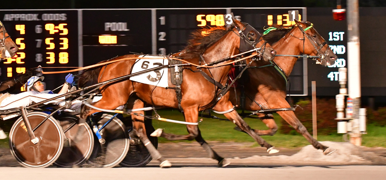 HS Shauna Tops Sunday Card