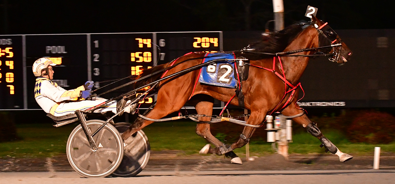 Pickup Man Hanover Thrives In Open Pace