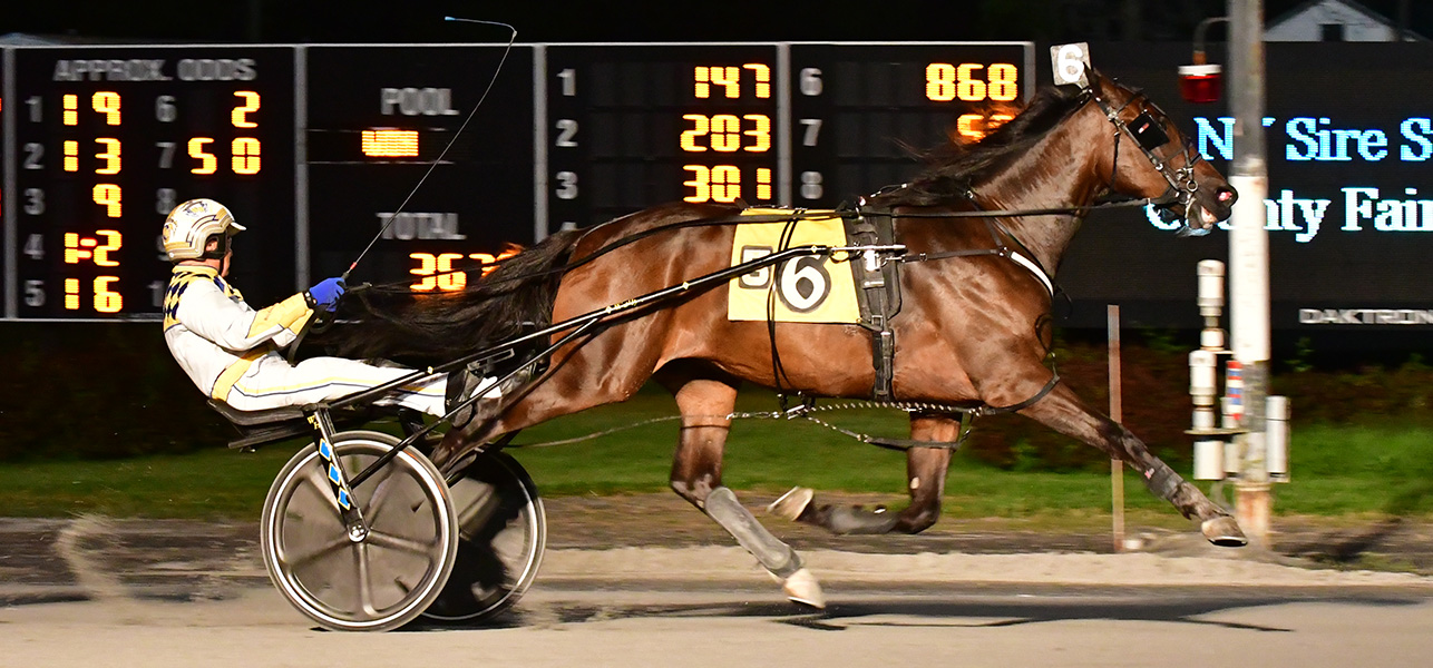 New York County Fair Finals Complete