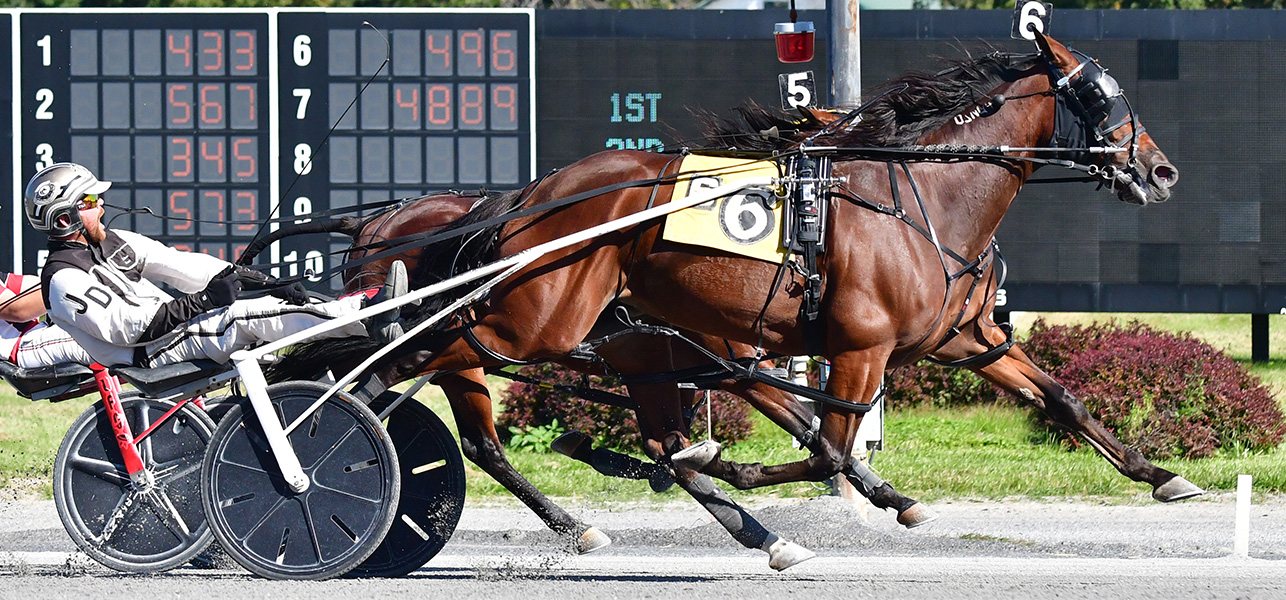 Always Watching Wins Fifth Open