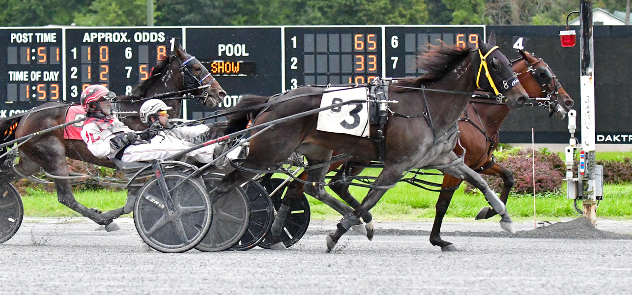 Always Watching Wins Again