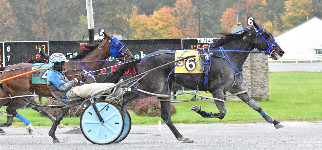 HP Mary Sunshine Wins 2023 Bunny Lake Series Final