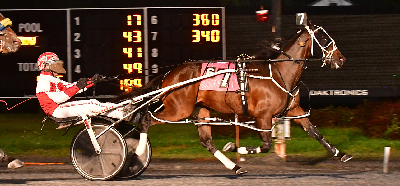 Rocknroll Runa A Returns In Open Pace