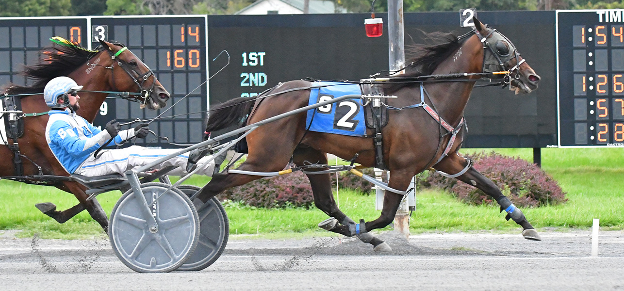 Shallow Tops Feature Monday