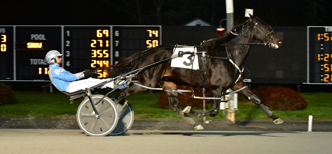 Addison Hanover Takes Open Pace