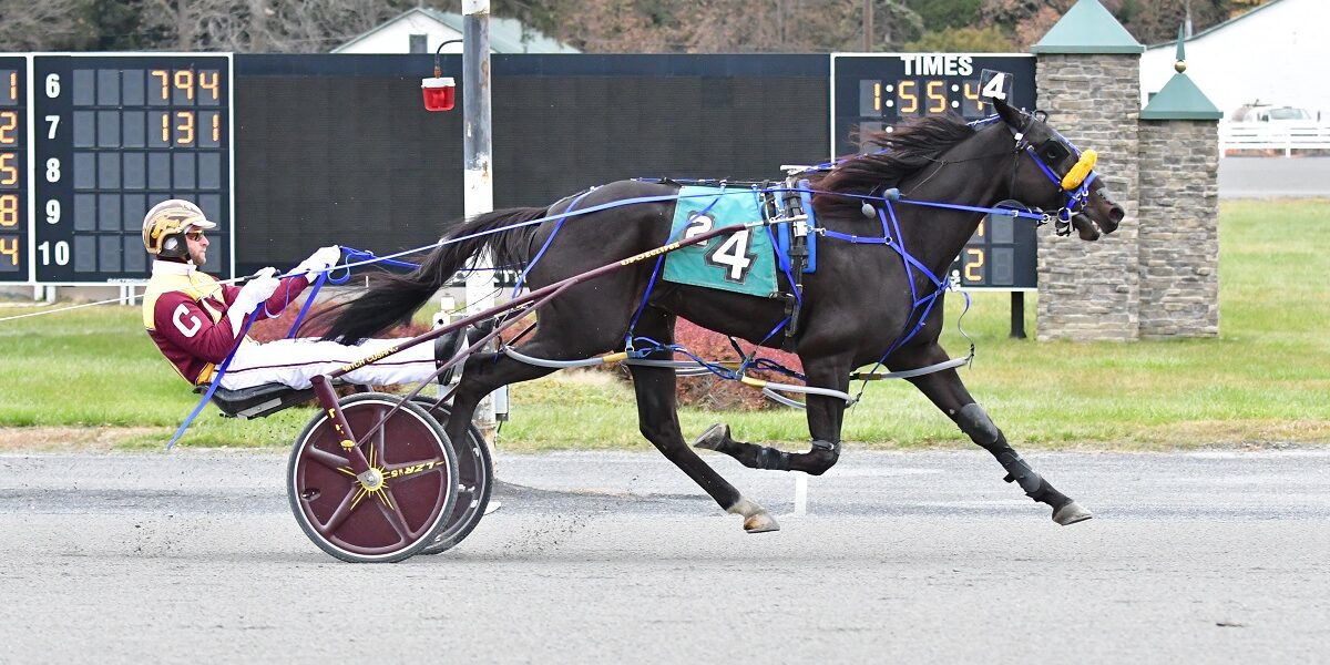 Kelly Lancaster-Dailey Scores Training Double at Saratoga on Tuesday