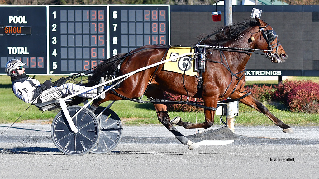 Always Watching Wins Filly/Mare Open at Saratoga on Monday