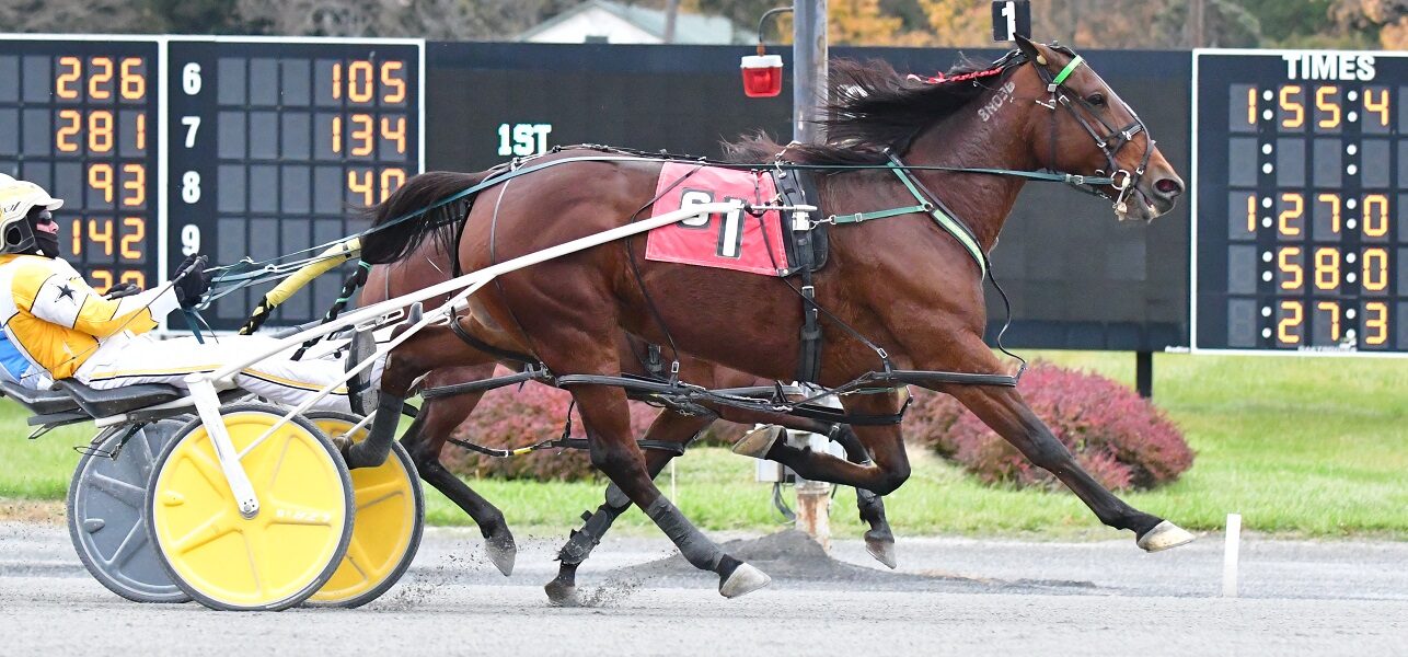 HS Shauna Wins $11.5K Feature at Saratoga on Monday