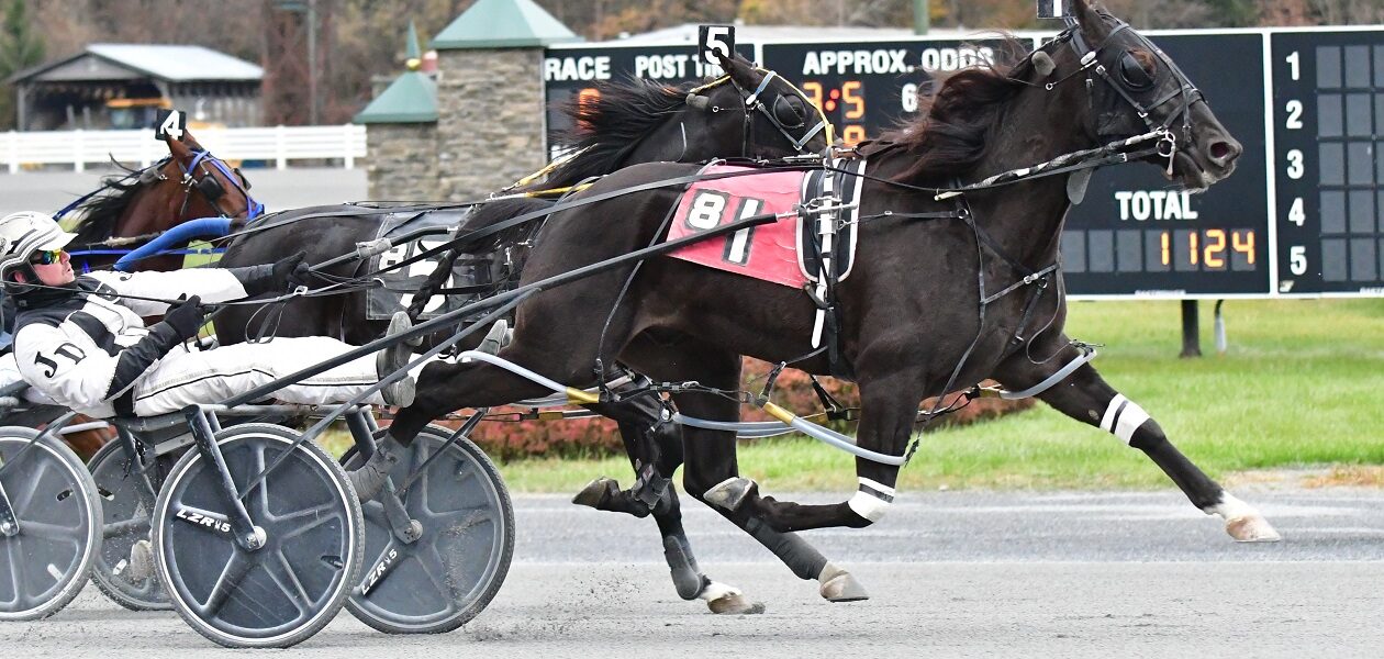 Mixed Emotion Puts In Career Best Performance Tuesday at Saratoga