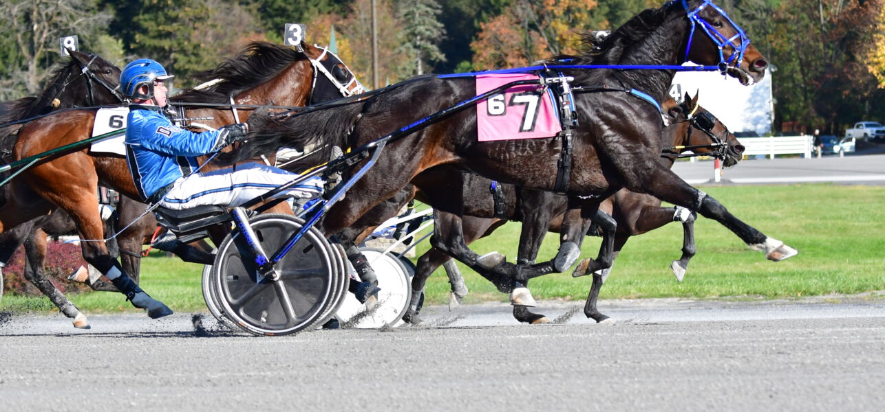 Pay Me Tonight Wins the Open Trot at Saratoga