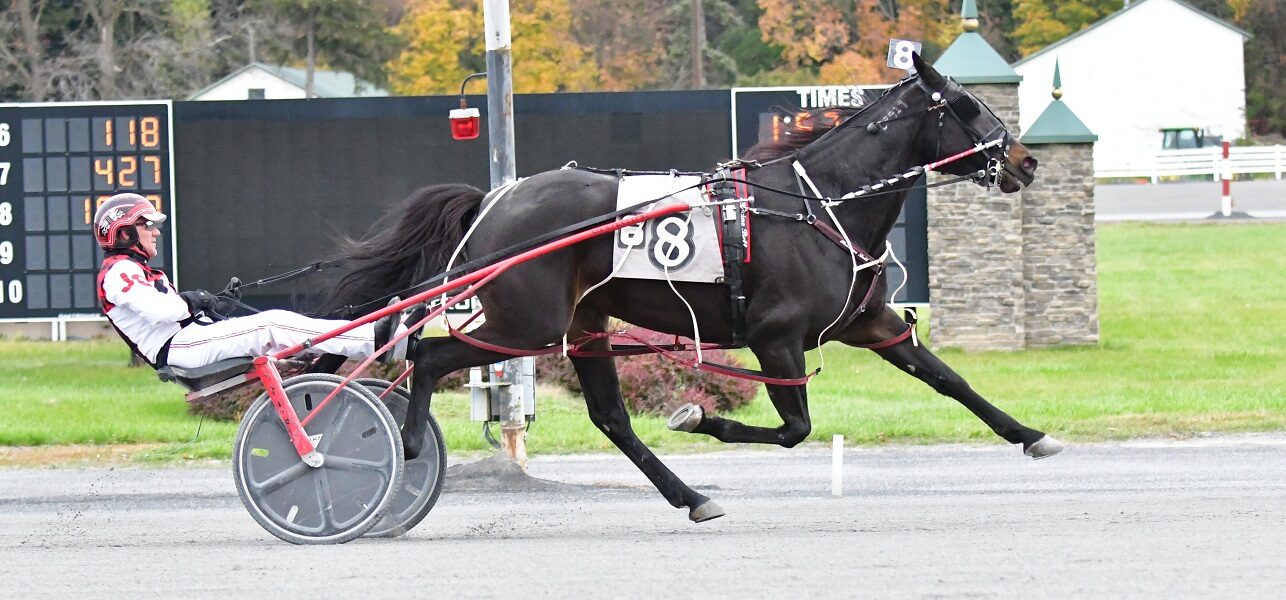 Racine Bell wins Filly & Mare Open at Saratoga on Monday