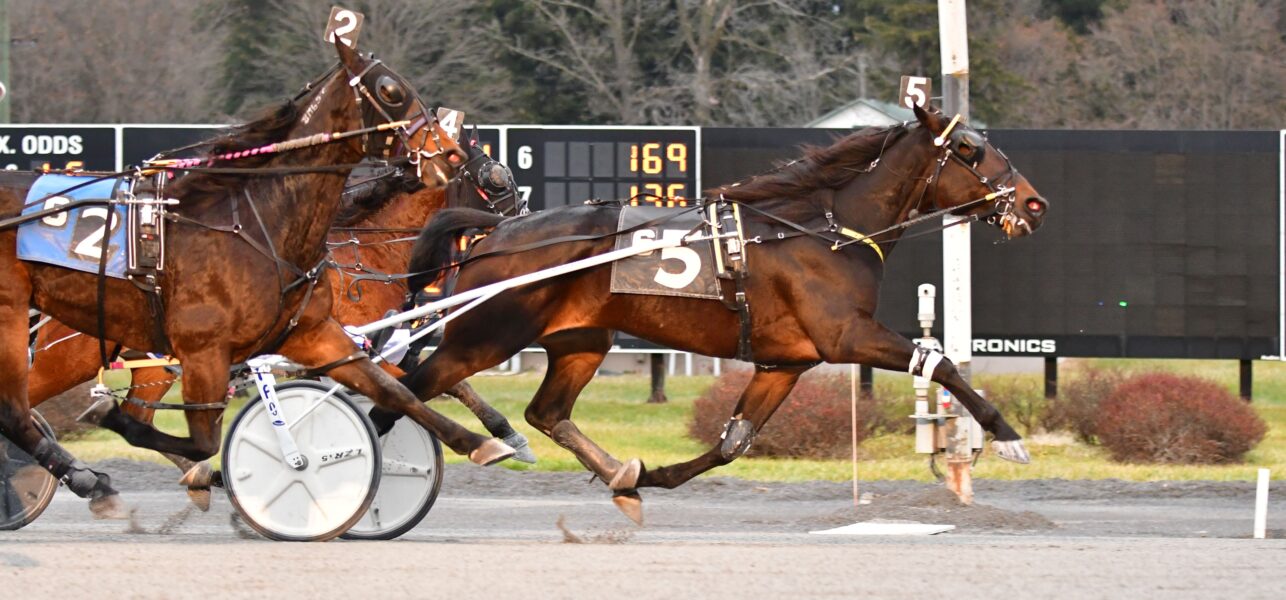 By The Book Wins 2023 Live Harness Racing Season Finale