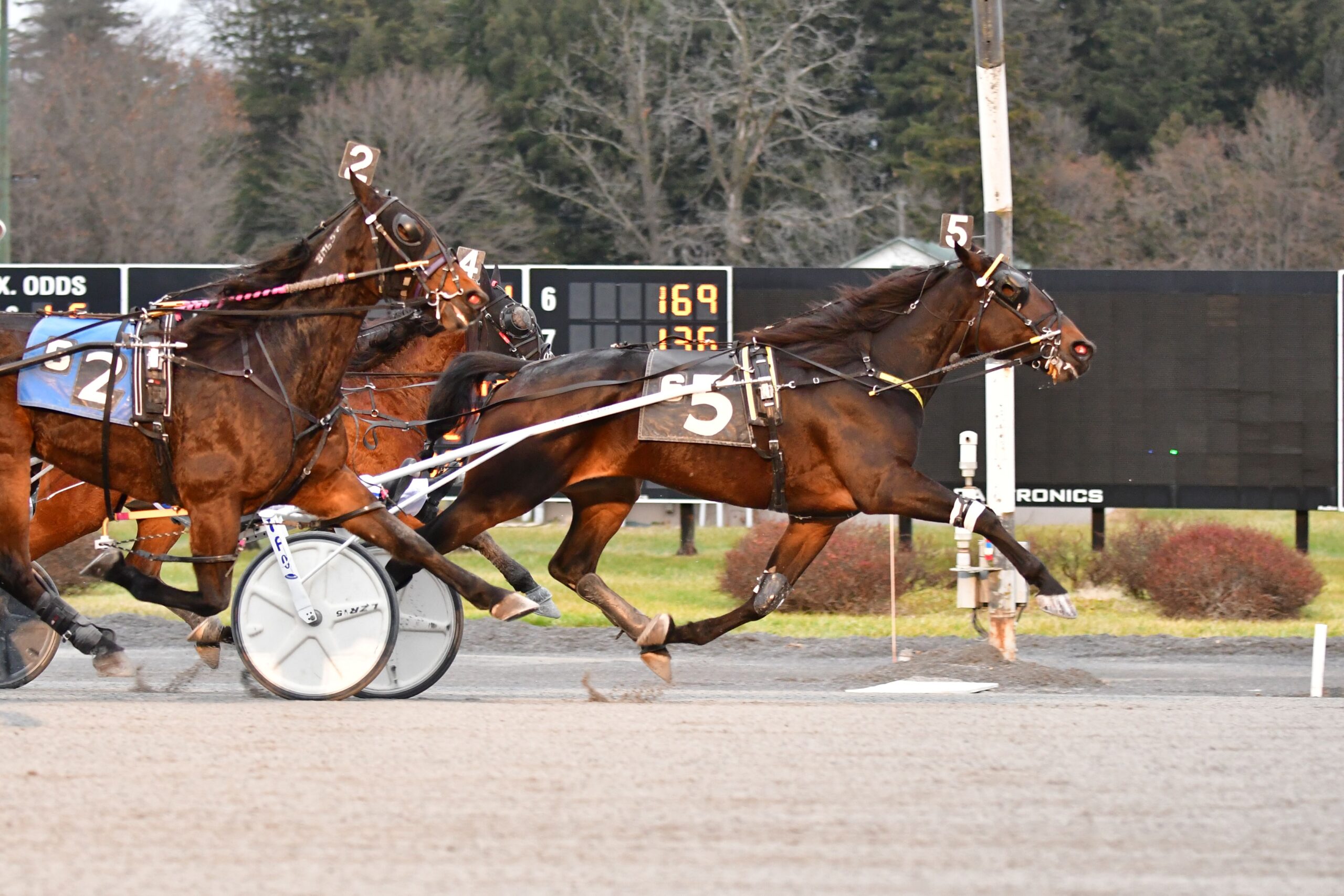 Saratoga Harness Schedule