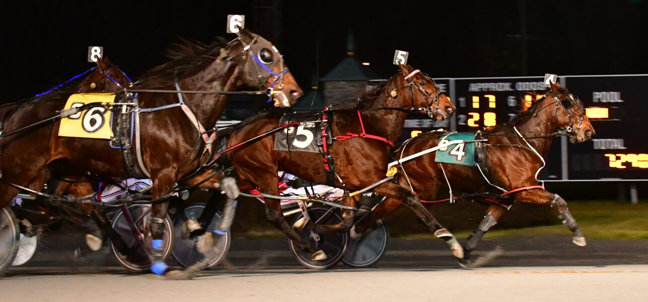 Primo Uomo Takes Final Open Pace