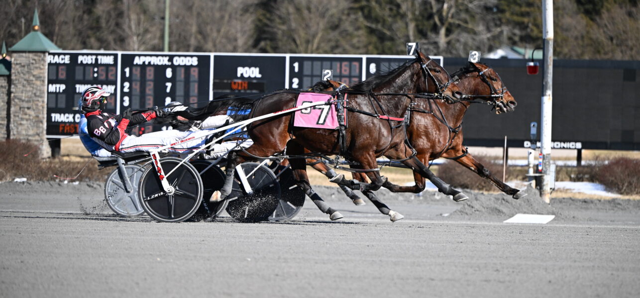 Always Watching Wins Filly & Mare Feature Race at Saratoga on Tuesday