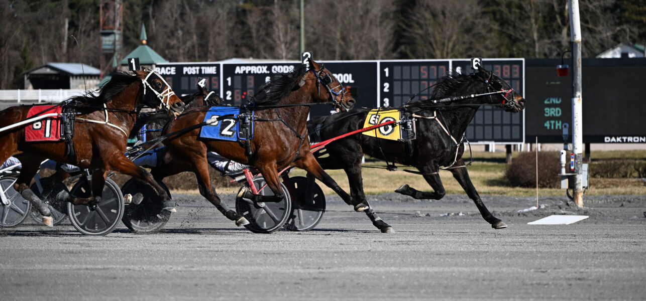 Discus Hanover Takes Open Trot