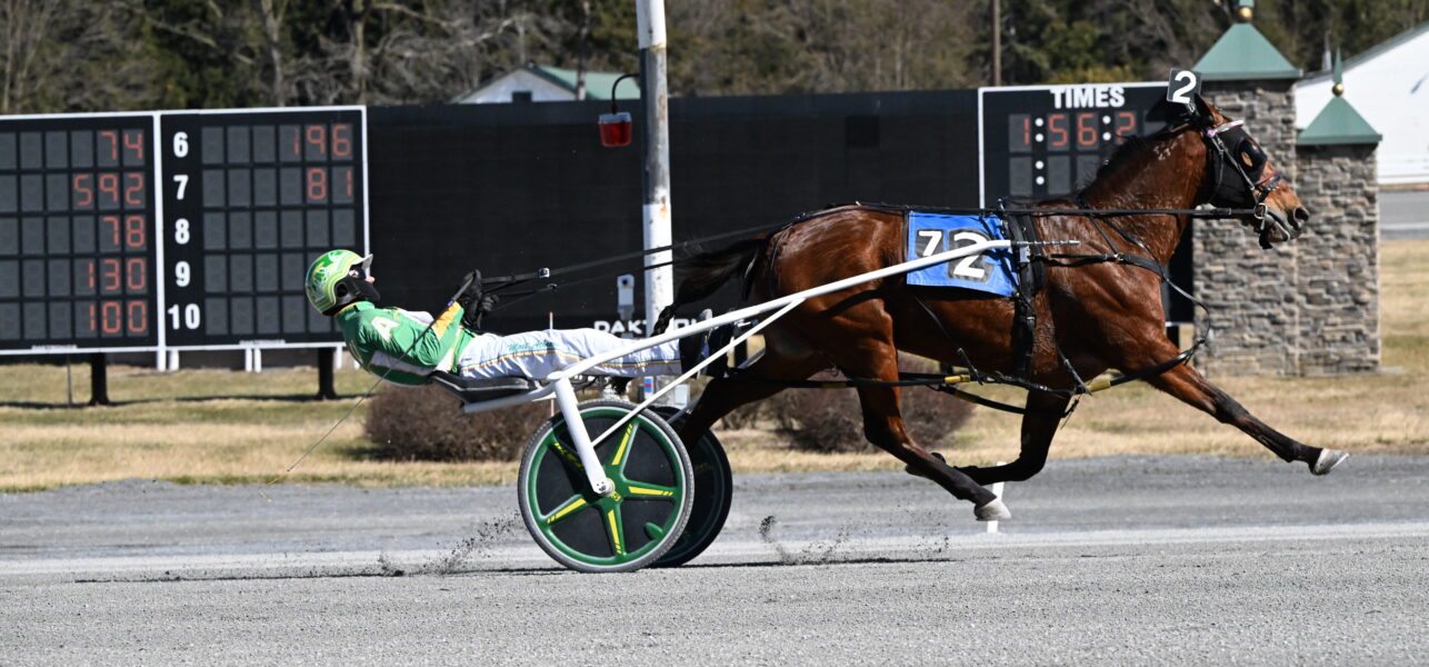 Swedish Starlet N Wins for 4th Time in 2024