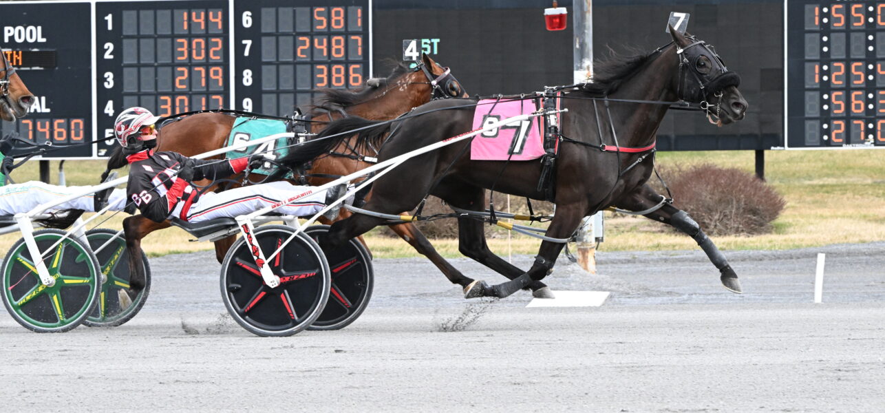 Arizona Wins The Filly & Mare Open at Saratoga Casino Hotel on Tuesday