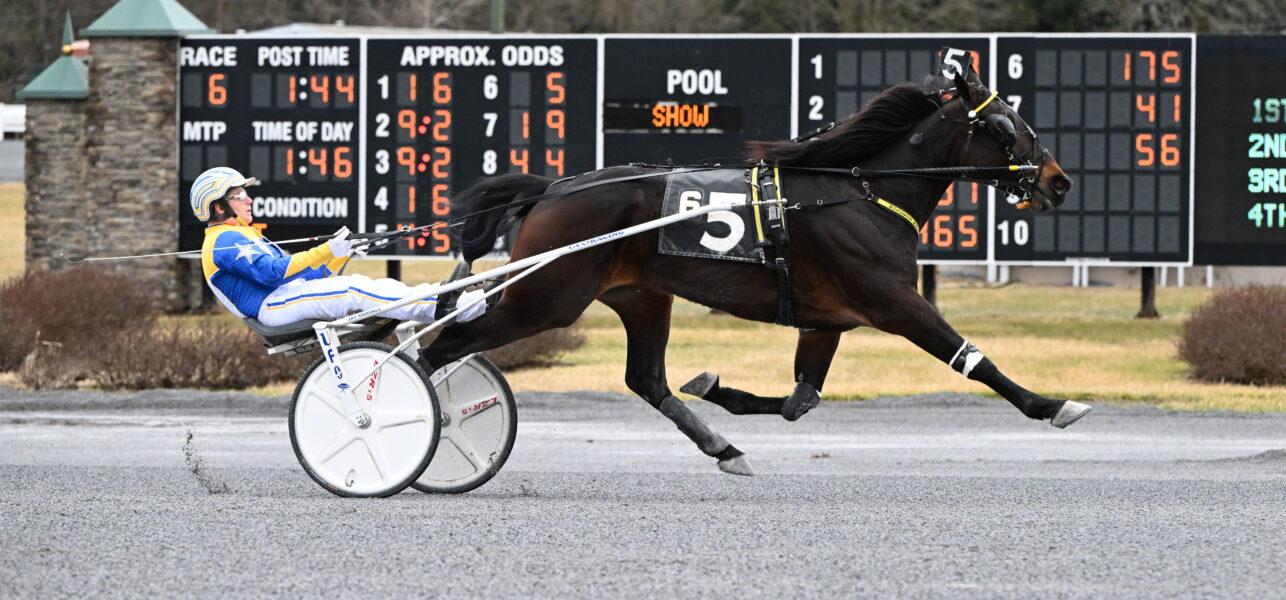 By The Book Wins the Open Trot for the Second Time in 2024 at Saratoga on Sunday